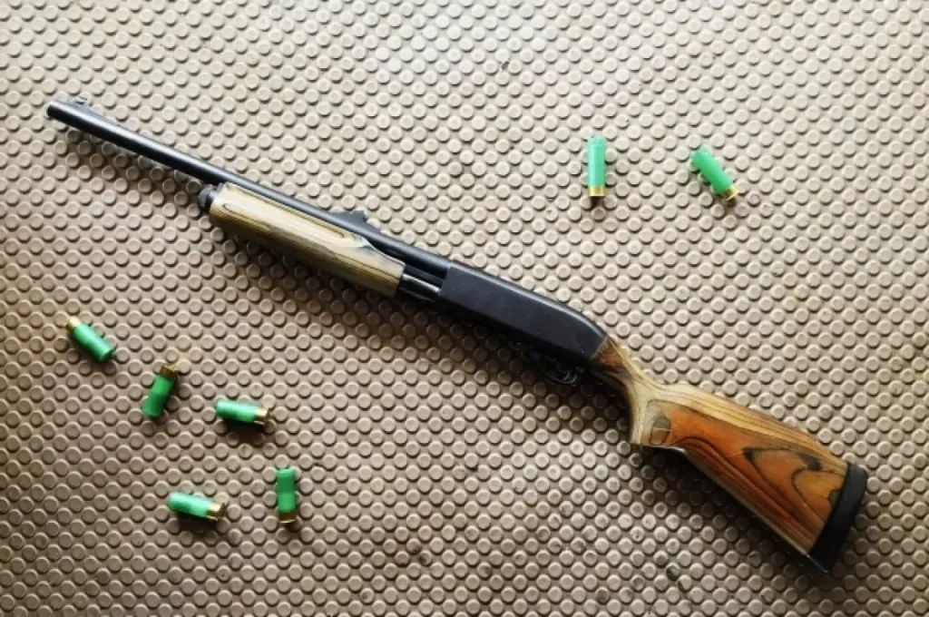 В Заринске мальчик выстрелил в брата из заряженного ружья отца