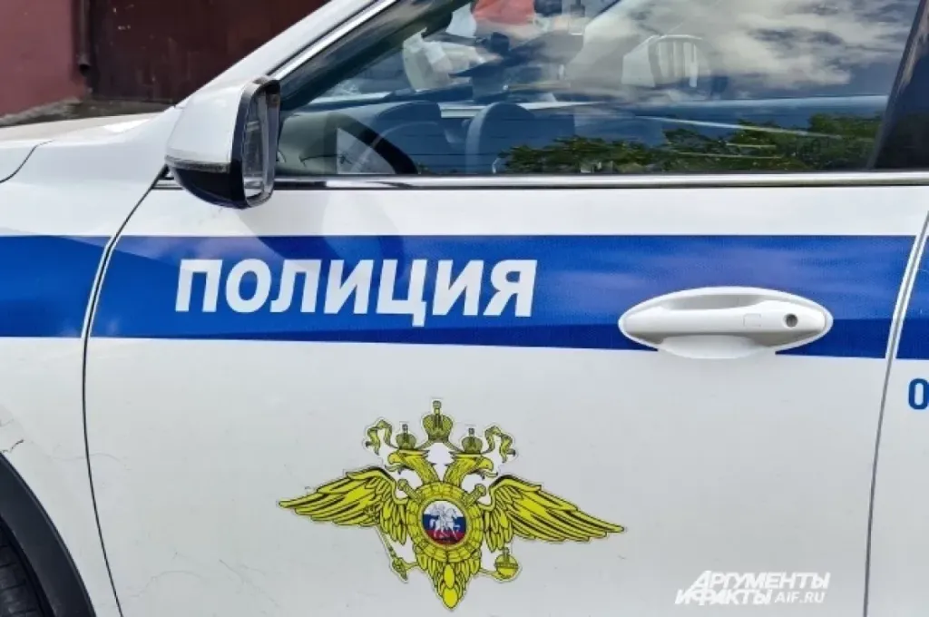 19-летний студент поджёг служебную машину у отдела полиции в Барнауле