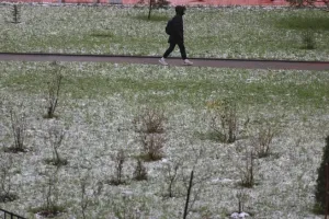 Штормовое предупреждение объявили в Алтайском крае из-за ветра до 25 м/с