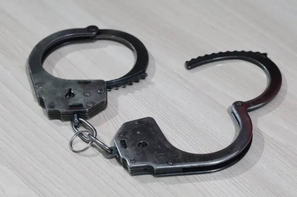 Жителя Барнаула осудили на 6,5 года за пропаганду терроризма