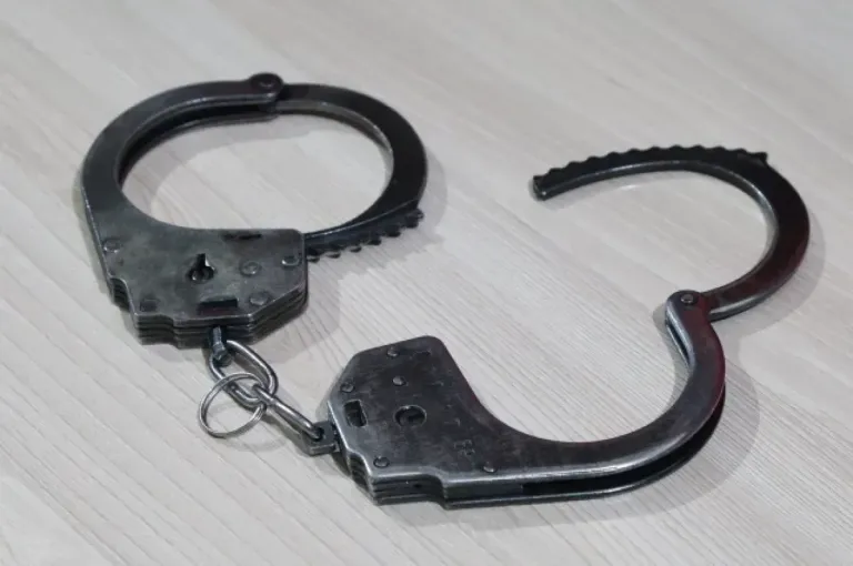 Жителя Барнаула осудили на 6,5 года за пропаганду терроризма